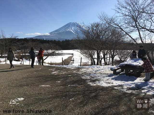 朝霧高原展望台から富士山を