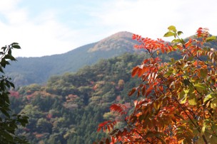 接岨峡温泉の紅葉