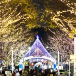 青葉シンボルロード：イルミネーション