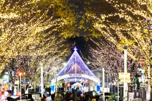 青葉シンボルロード:イルミネーション