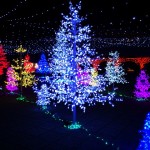 静岡県内のイルミネーション☆写真に撮りたいおススメ8選