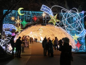 御殿場高原時之栖イルミネーション