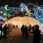 御殿場高原時之栖イルミネーション