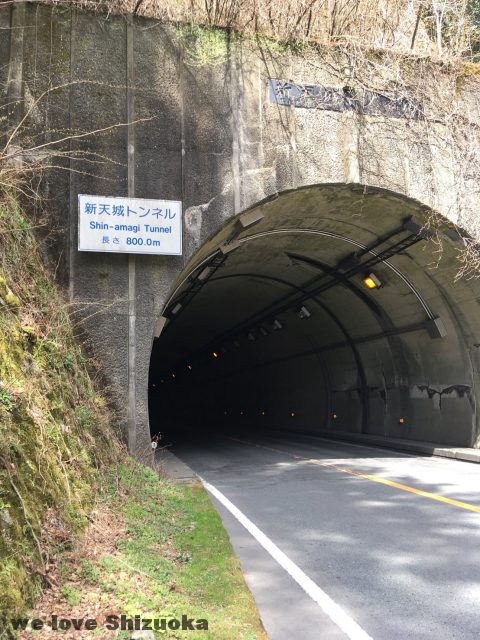 新天城トンネル
