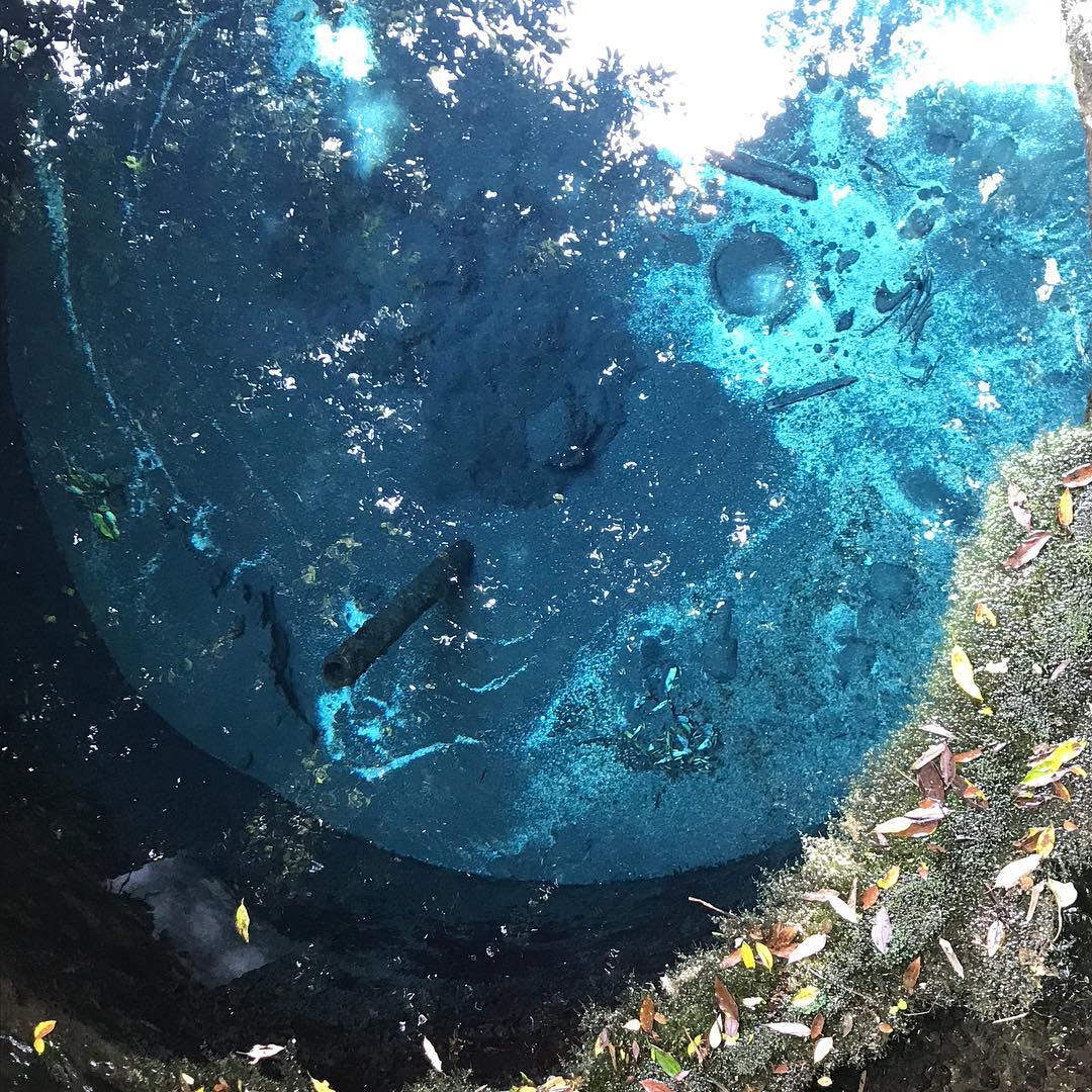 柿田川公園の湧水群の水の綺麗なこと 絵に描いたような透き通るブルーが 吸い込まれそうなほどに美しいの 静岡県の情報サイト We Love 静岡