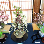 樹脂粘土で作った盆栽・花展