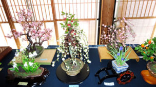 樹脂粘土で作った盆栽・花展