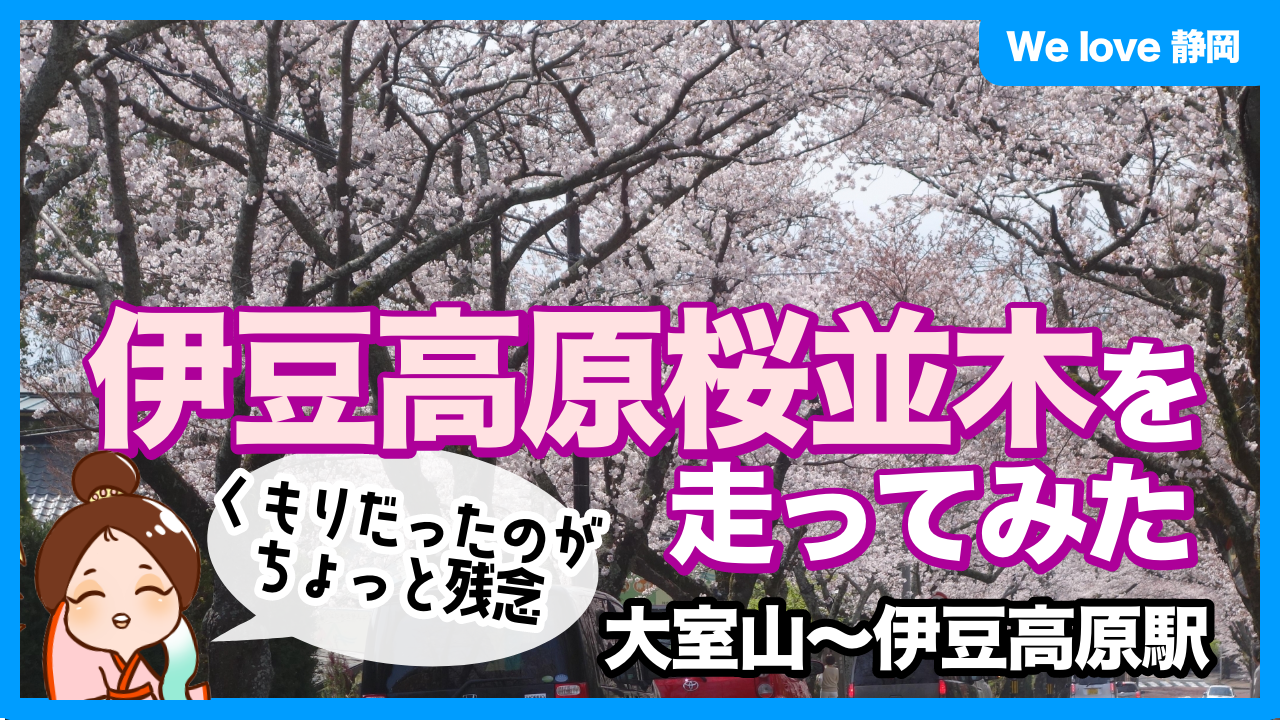 伊豆高原桜並木を走ってみた：動画