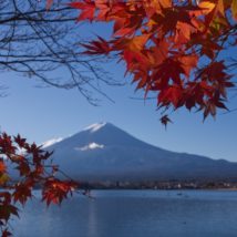 河口湖の紅葉と富士山