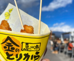 富士川SA下りの金のとりから