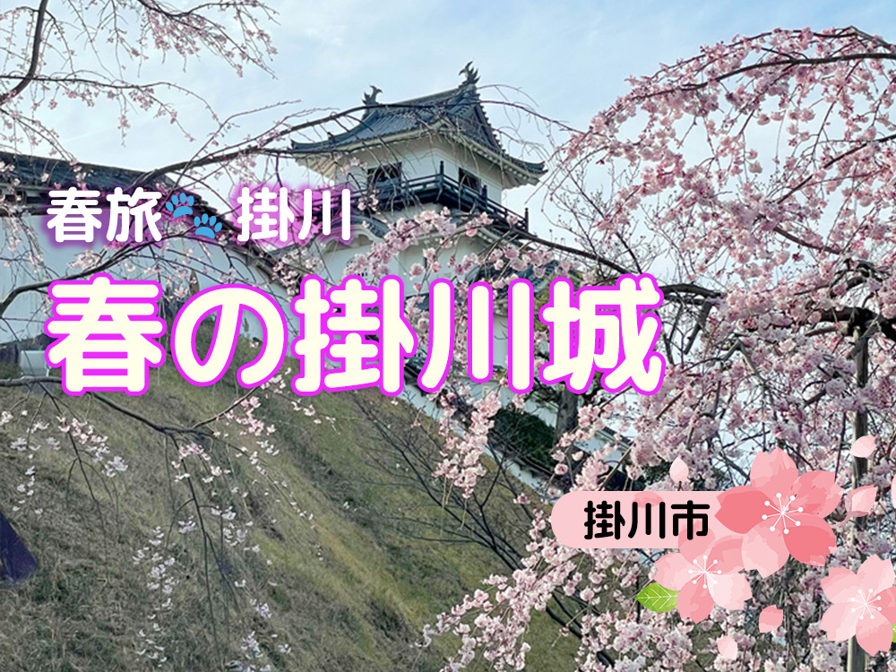 春旅！掛川：掛川城
