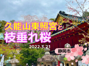 久能山東照宮と枝垂れ桜