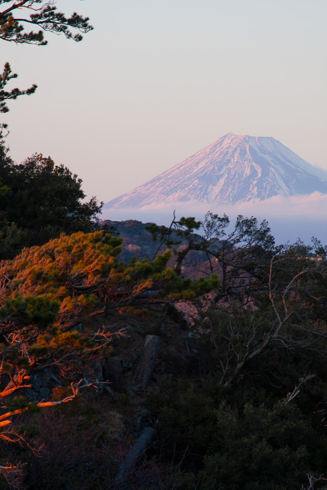 黄金崎公園から富士山を見る