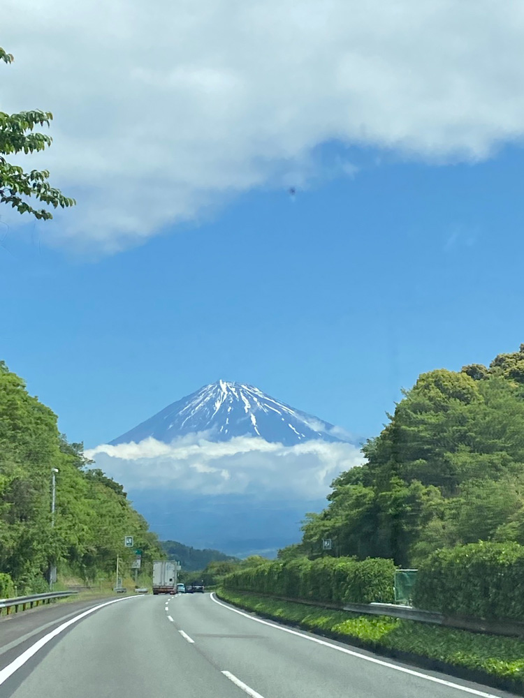 富士川SA手前トンネルを抜けると富士山