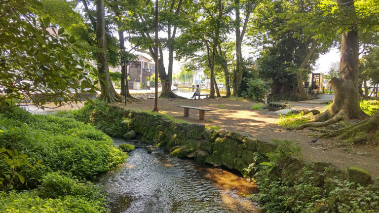 涼を楽しむ！水の都・三島市の夏におすすめ湧水スポット4選 ｜静岡県の情報サイト we love 静岡