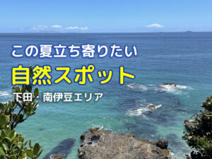 この夏立ち寄りたい下田南伊豆の自然スポット