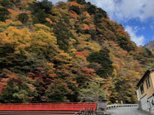 梅ヶ島温泉の紅葉