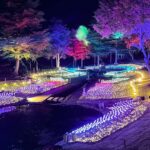 虹の郷イルミネーション