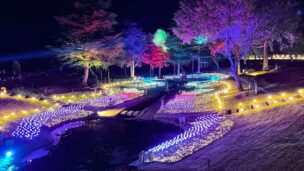 虹の郷イルミネーション