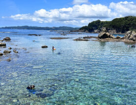 恵比須島で楽しむ海遊び