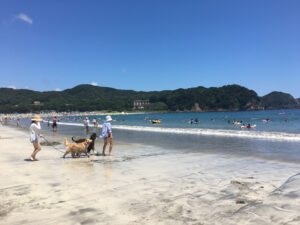 弓ヶ浜海水浴場へゴー！