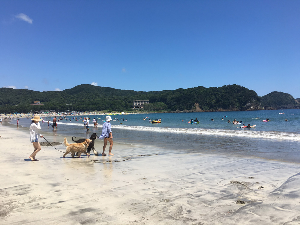 弓ヶ浜海水浴場へゴー！