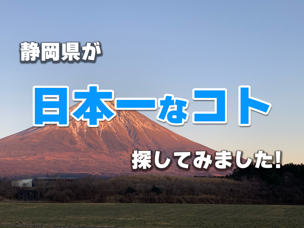 静岡県が日本一なこと探してみました