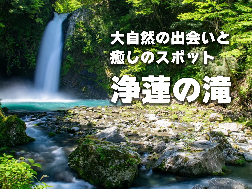 大自然の出会いと癒しのスポット浄蓮の滝