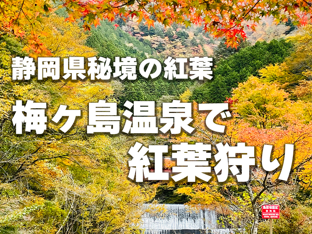 梅ヶ島温泉で紅葉狩り