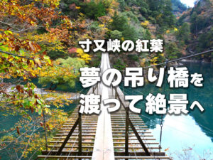 寸又峡の紅葉、夢の吊り橋を渡って絶景へ