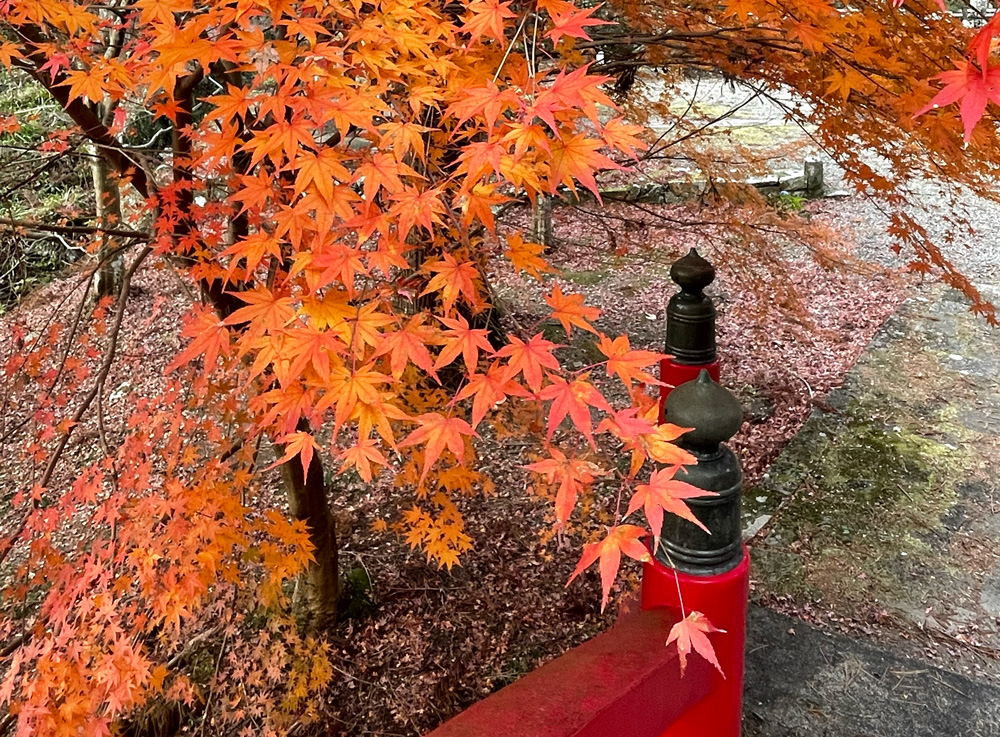 大洞院：竜前門橋からの眺め