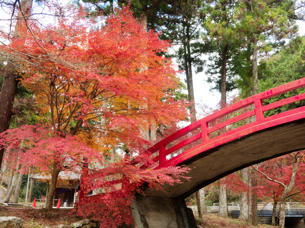 大洞院：竜前門橋からの眺め