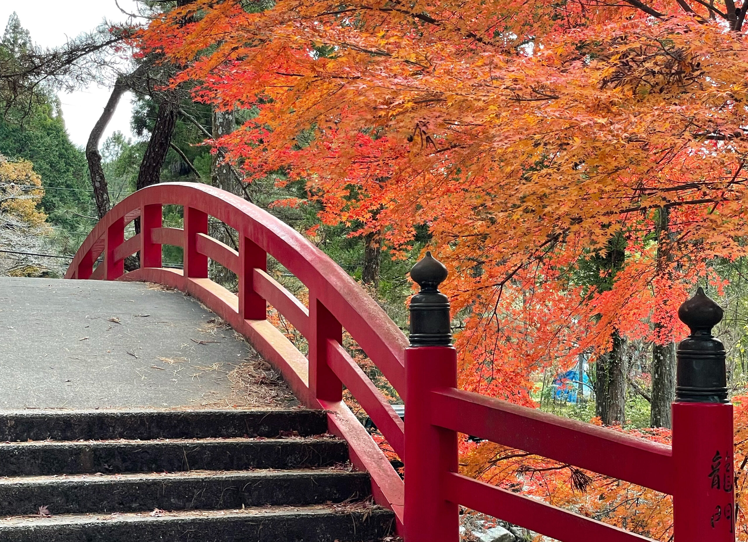 大洞院：竜前門橋からの眺め