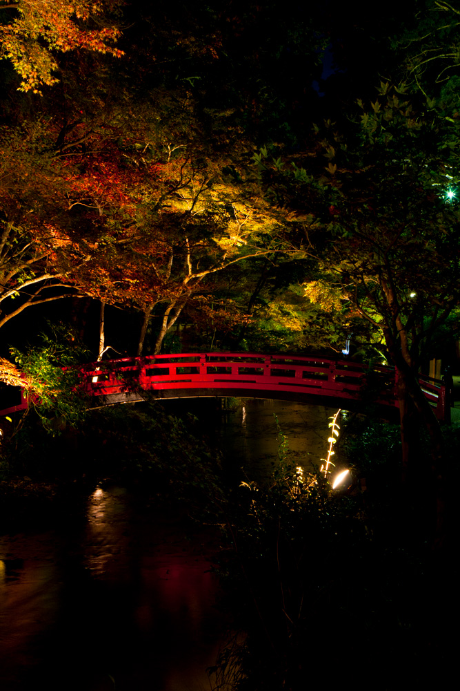 小國神社の紅葉ライトアップ