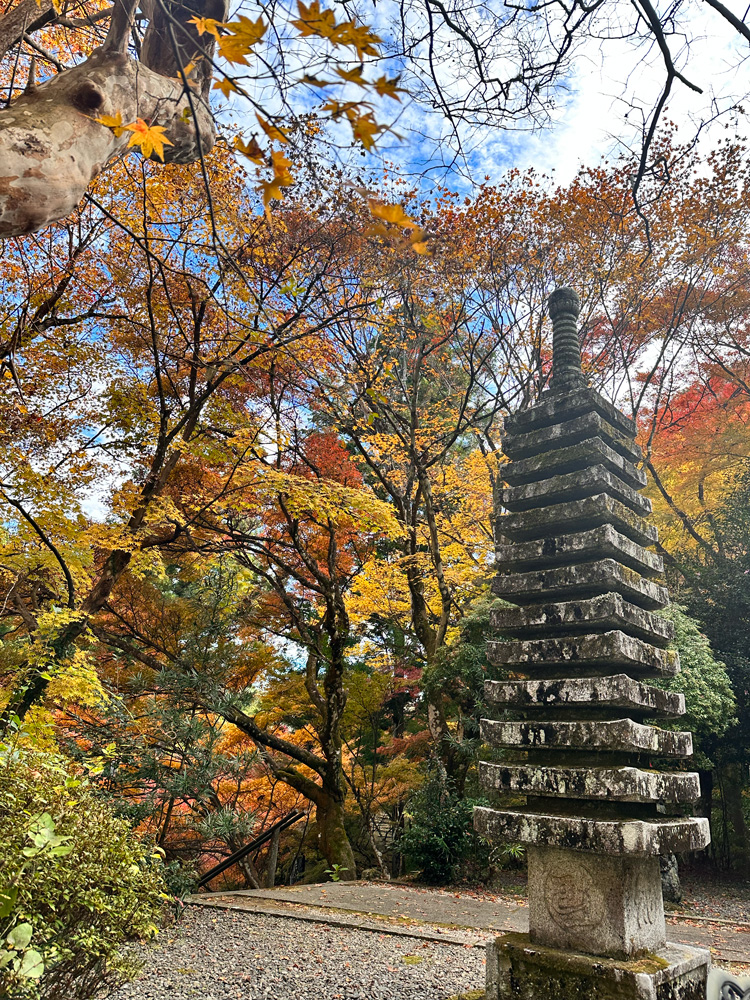 大洞院紅葉