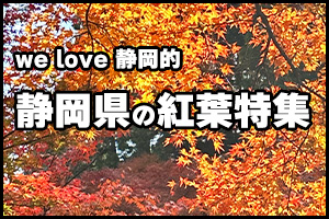 welove静岡紅葉情報