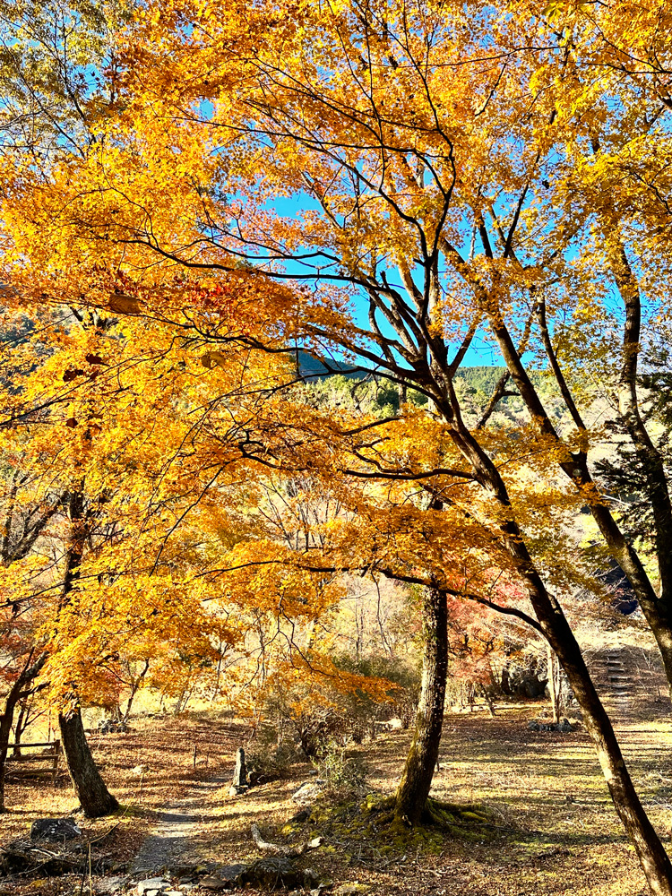 赤水の滝の紅葉01