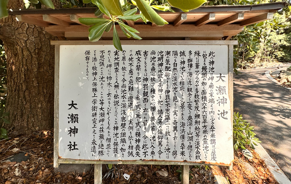 大瀬神池覚書