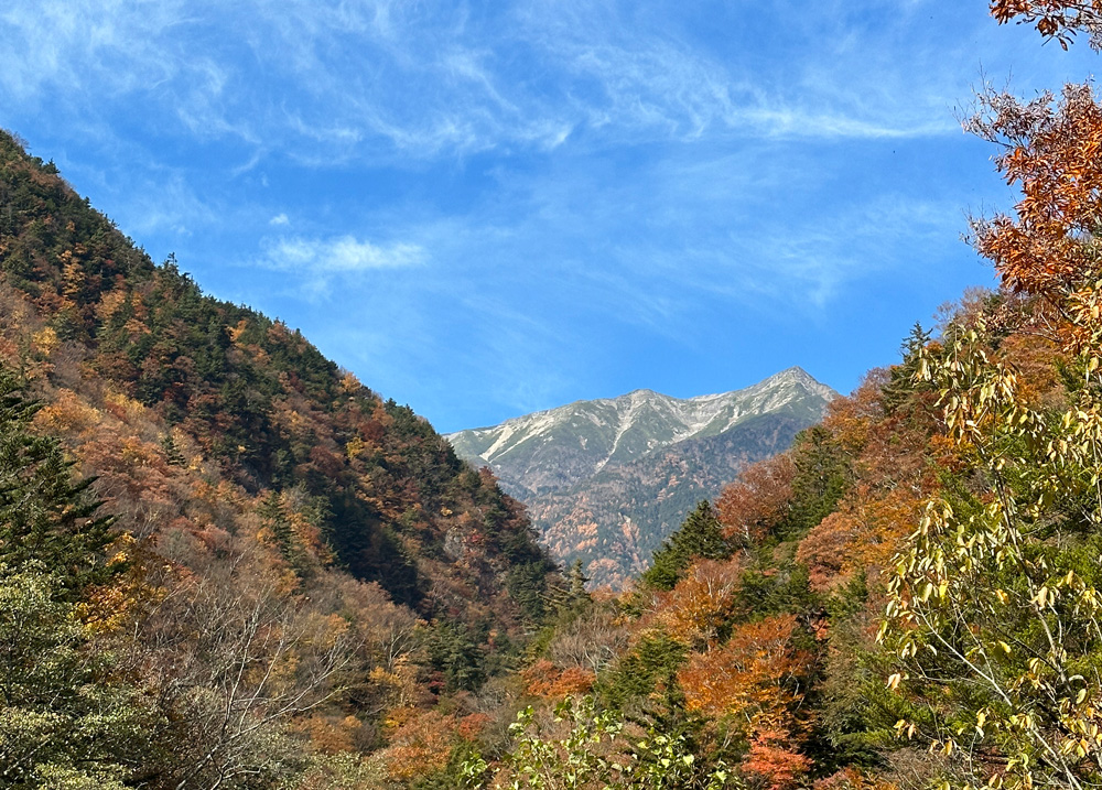 道中みた赤石岳
