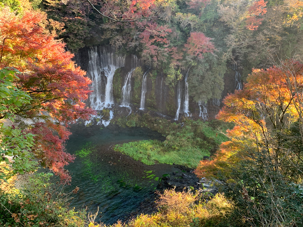 絵画のような白糸の滝紅葉