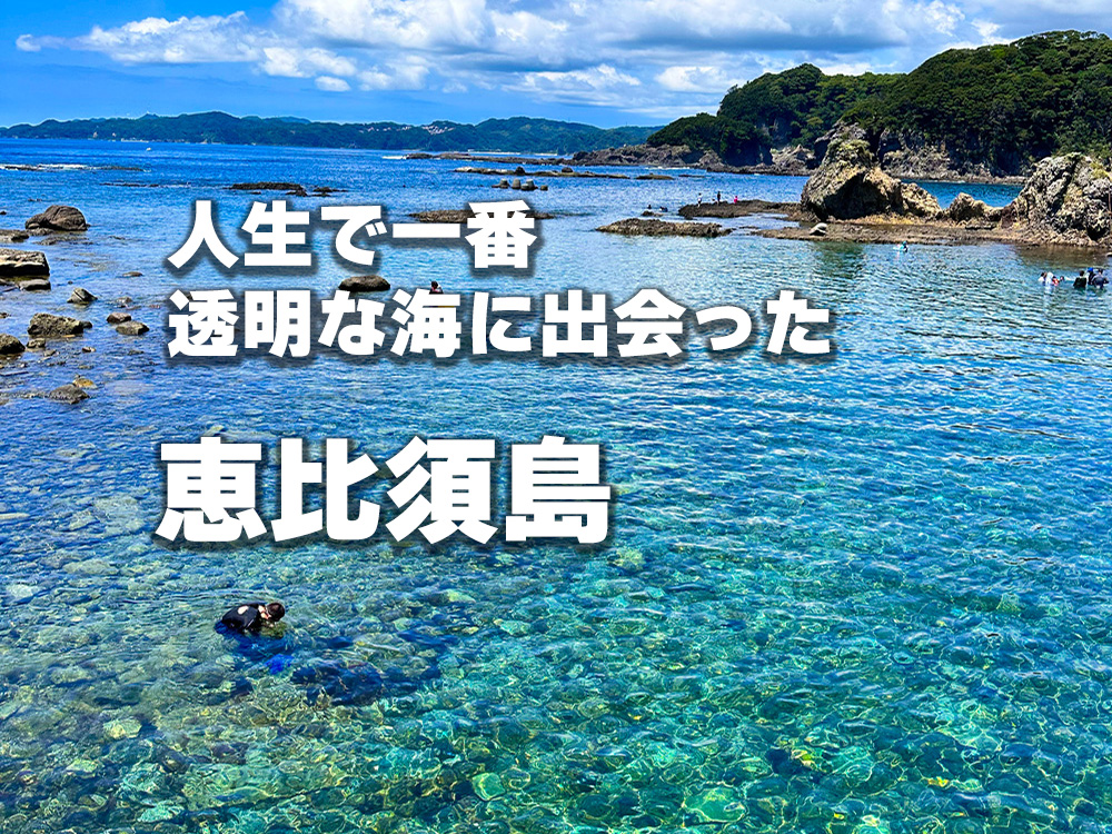 須崎半島の小さな島で、人生で一番透明な海に出会った「恵比須島」