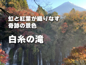 虹と紅葉が織りなす奇跡の景色｜白糸の滝