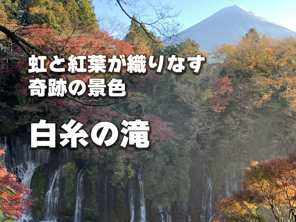 虹と紅葉が織りなす奇跡の景色|白糸の滝