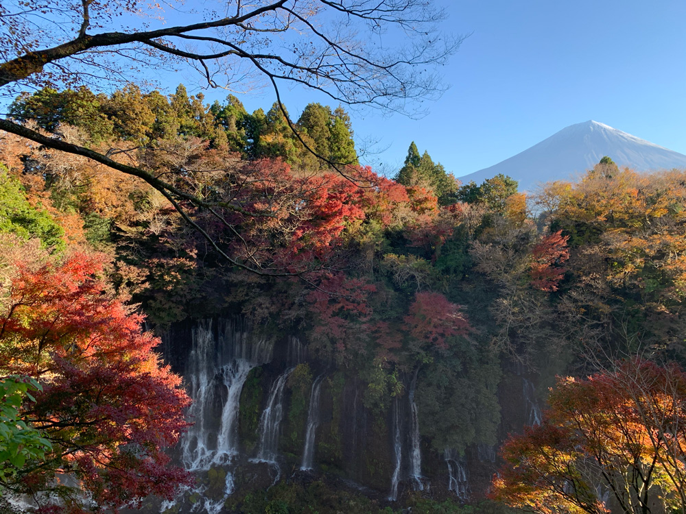 白糸の滝の紅葉と富士山