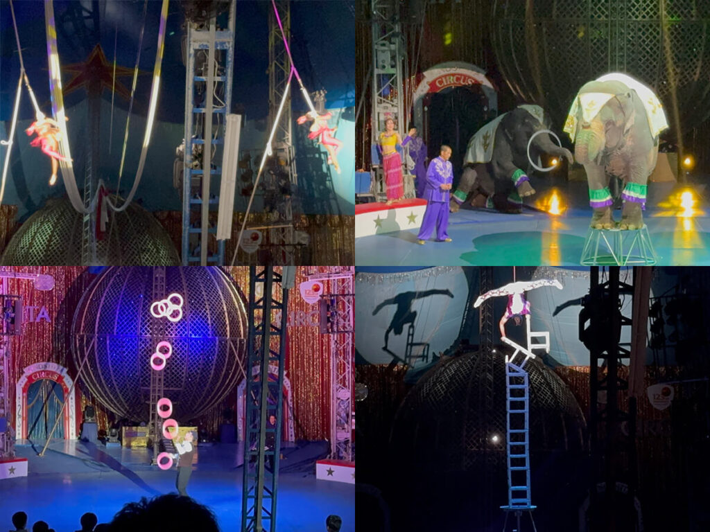 木下大サーカス