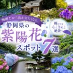 梅雨だから出かけたくなる。静岡県の紫陽花スポット7選