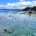 恵比須島で楽しむ海遊び